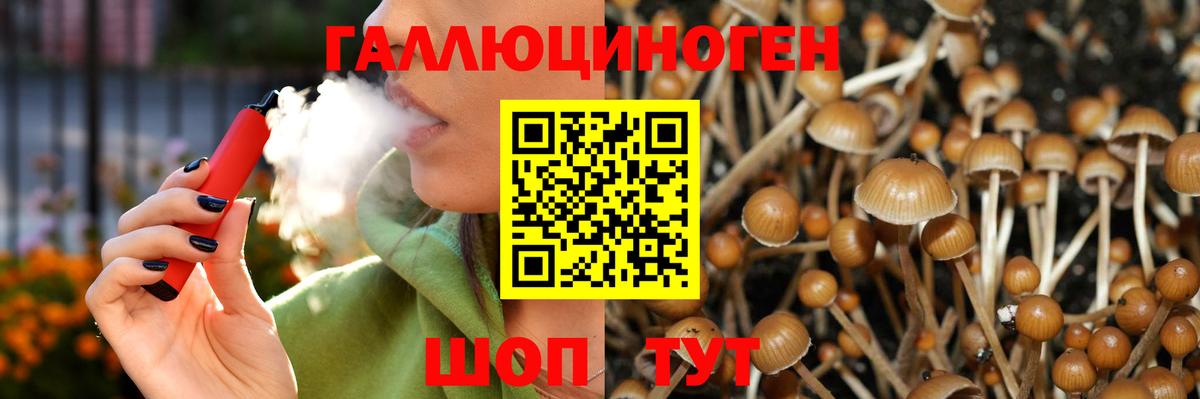 Псилоцибиновые грибы Psilocybine cubensis Елабуга