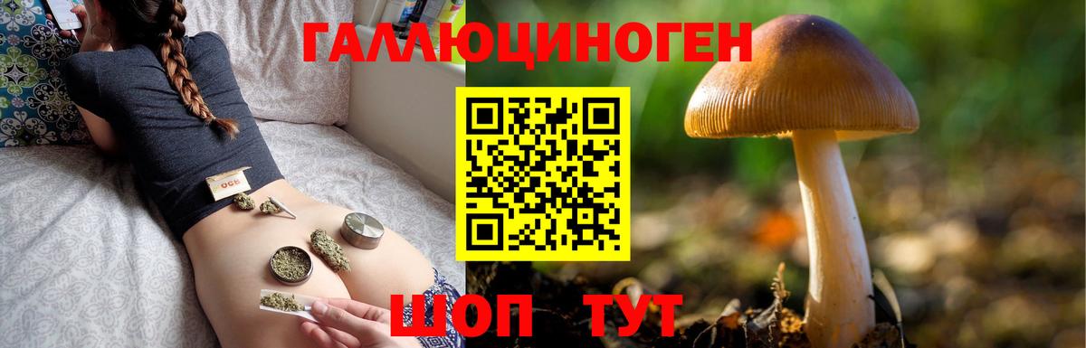 Галлюциногенные грибы ЛСД  Вход с VPN  Елабуга  Галлюциногенные грибы MAGIC MUSHROOMS 